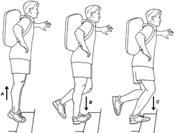 Eccentric Exercise For Achilles Tendinopathy A Narrat - vrogue.co